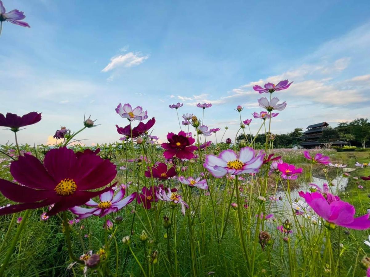 Chapulin Natural Resort Chiang Mai Dış mekan fotoğraf